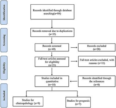 Prognostic and Clinicopathological Significance of SATB1 in Colorectal Cancer: A Meta-Analysis